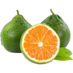 新鲜高山丑橘丑八怪当季现摘橘子整箱水果三级果 丑橘9斤（三级果）