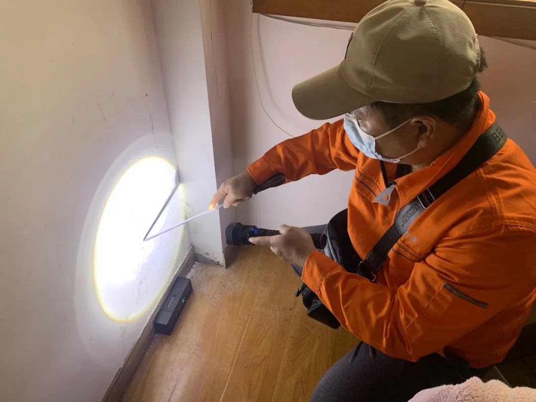 白蚁入侵家庭？简单处理与预防攻略