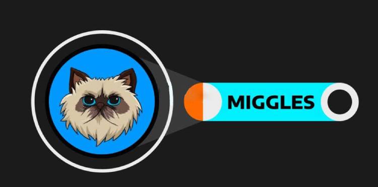 MIGGLES币暴涨？2025年价格预测及潜力分析