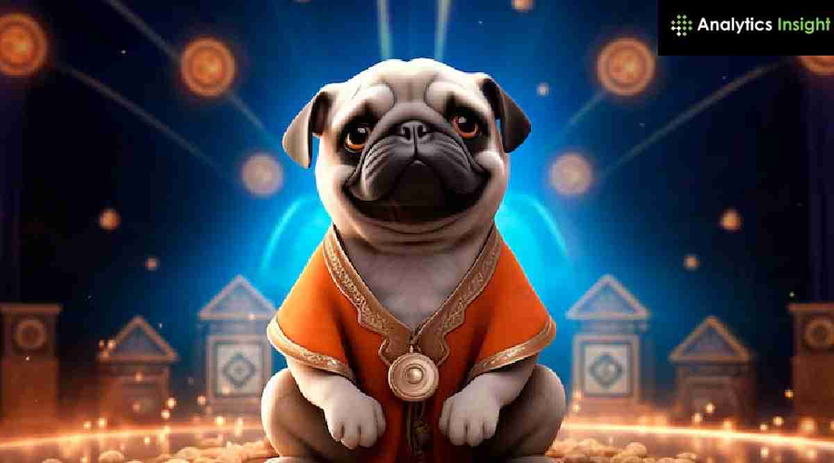 模因币2025：Pepe和Bonk还能火吗？