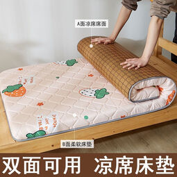 接运猫学生宿舍专用凉席双面床垫藤席上下铺单人席子冬夏两用可折叠夏季 草莓果凉席床垫双面可用 90CMX190CMB面床垫