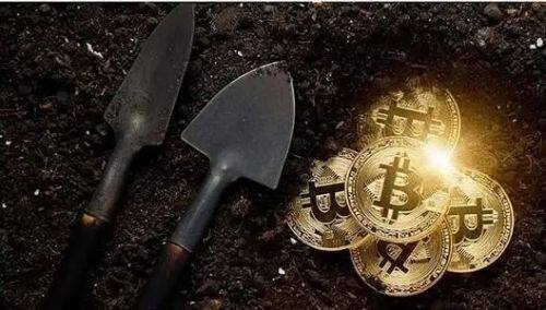 SLERF币爆火？树懒萌翻加密圈！