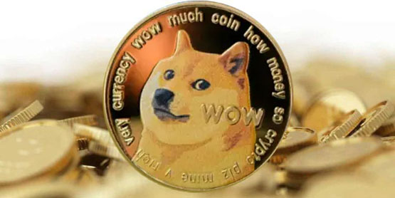 狗狗币(DOGE)暴涨！2025潜力爆发？