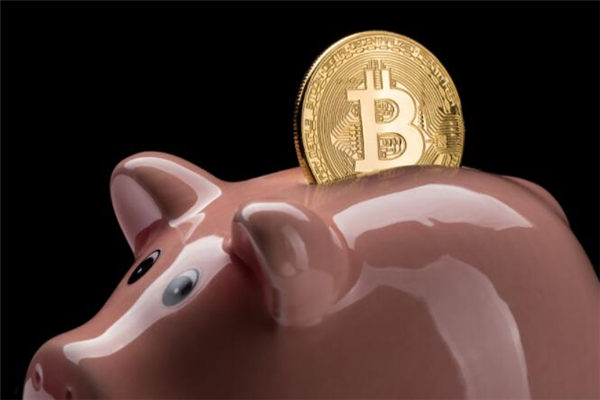 狗币屎币暴涨：模因币投资风险与机遇