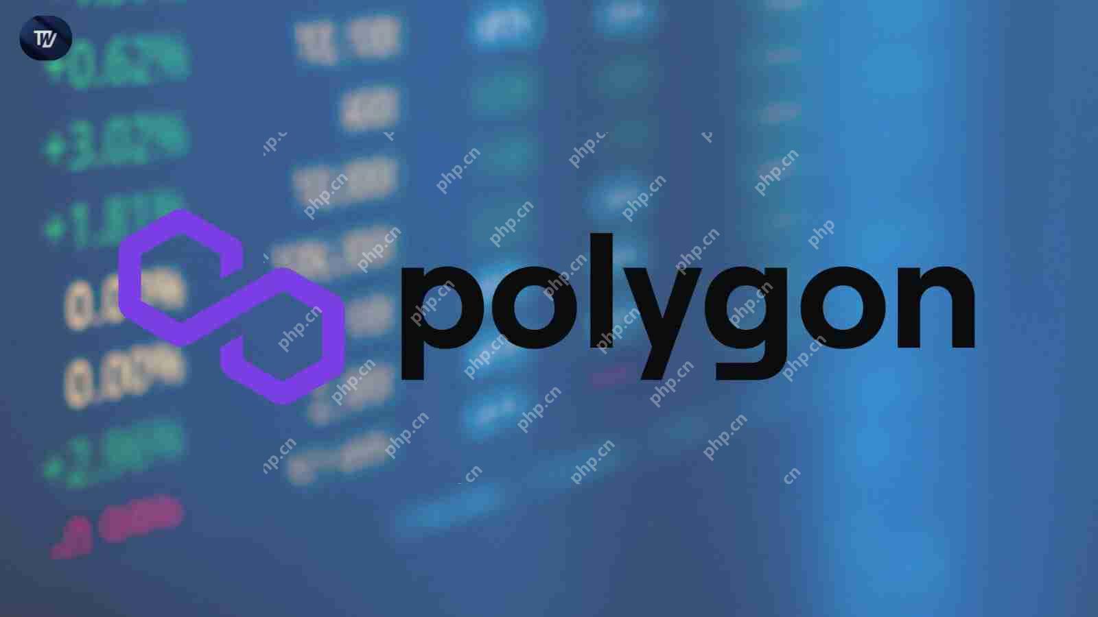 Polygon(POL)爆发在即？分析师预测暴涨！
