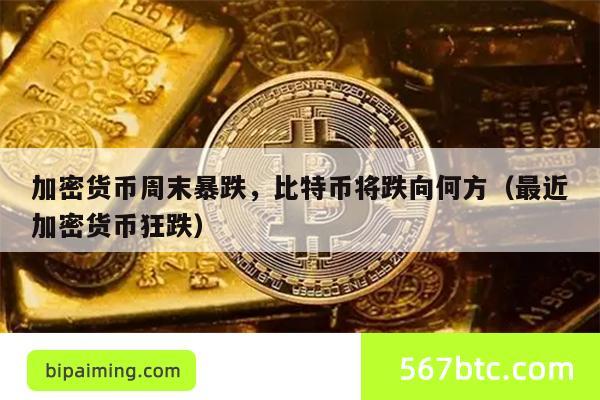 加密货币暴跌，比特币未来何去何从？