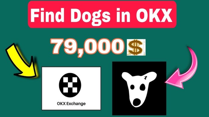 欧易OK交易所：前三甲平台助你掘金