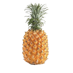 正宗徐闻菠萝新鲜水果生鲜香水大菠萝商超脆甜大果【送去眼刀】 【尝鲜】整箱约3斤小菠萝2-3个果+去眼刀