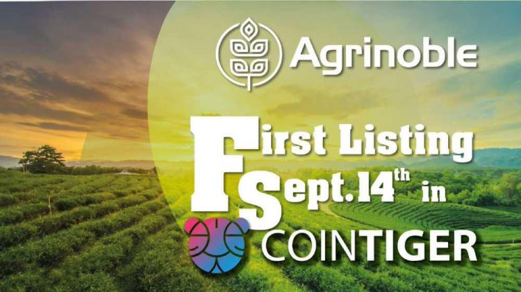 AGN币详解：发行价、用途及风险提示
