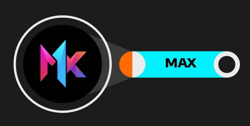 MAX币暴涨潜力？开盘价预测及投资风险分析