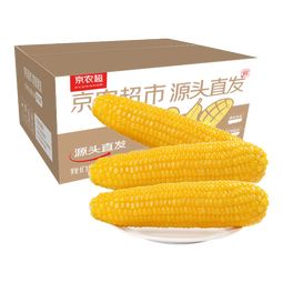 京农超东北糯玉米棒软糯香甜真空包装粘非水果玉米粒黏玉米苞米早餐代餐 黄糯玉米2000g（200g*10支) 产地直发