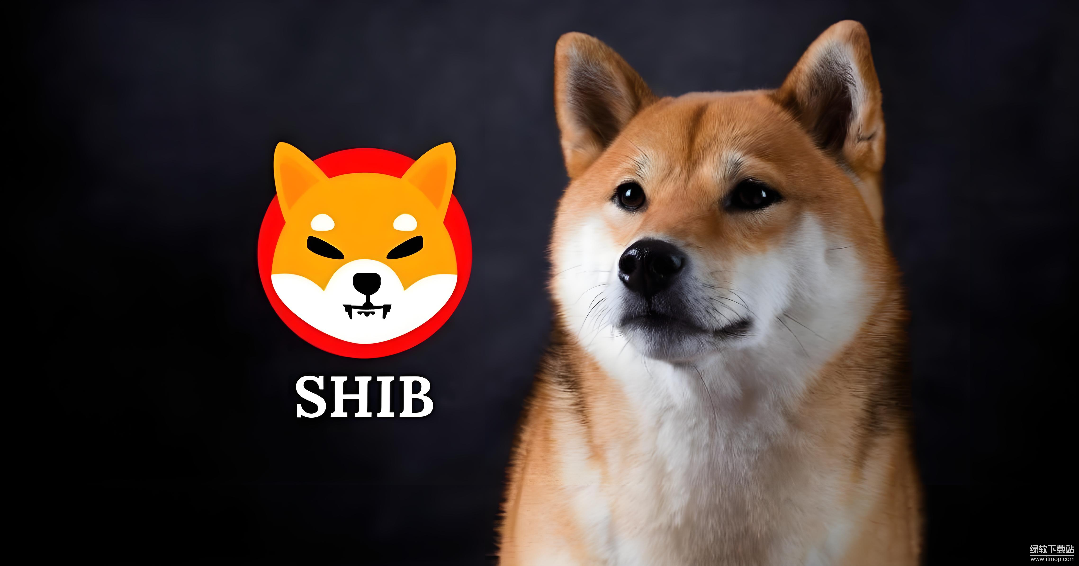 Coinbase柴犬币SHIB上线时间及影响分析
