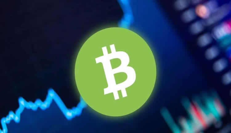 BCH未来价格预测：2050年能涨多少？