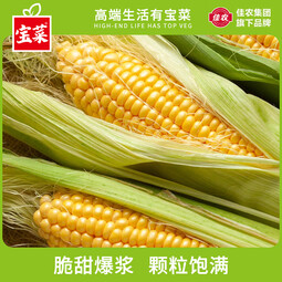 宝菜玉米新鲜黄甜玉米带皮水果玉米棒低脂减肥早餐 整箱包邮 5斤（约5-8根）