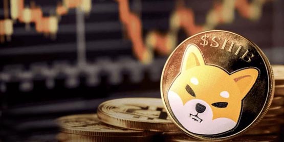 柴犬币暴富神话：2千美元狂赚110万！
