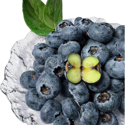 高山秘鲁蓝莓孕妇宝宝辅食当季新鲜水果怡颗云蓝梅进口京东包邮 超大单果18mm+ 尝鲜1盒装（100g-125g）/盒