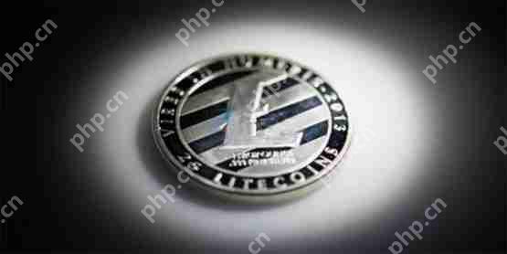 LTC现货ETF再延期？年底或有转机！
