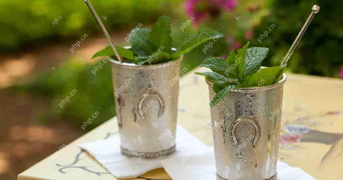 Mint Julep配方：提升肯塔基德比官方饮品的清凉体验