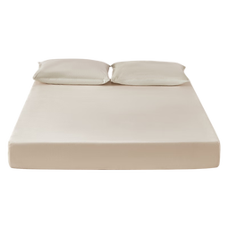 一默【宠粉福利】床笠全包床罩保护套床垫套宝宝绒加厚保暖床盖床笠罩 米白 150cm*200cm (单床笠)