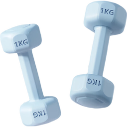 环保六角小哑铃女士健身家用练臀练手臂居家健身器材 活力蓝 2KG *2共4kg