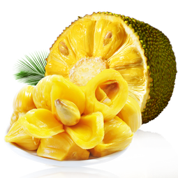 鲜友季海南黄肉菠萝蜜新鲜当季热带水果香甜黄心菠萝蜜 10-15斤