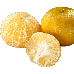 【东东农场专供】正宗广西武鸣皇帝柑贡柑产地直发新鲜水果 1斤装50mm+