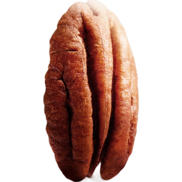 三只松鼠量贩碧根果长寿果特大颗粒健康坚果零食特产休闲食品节日送礼 【送礼优选】箱装碧根果仁500g