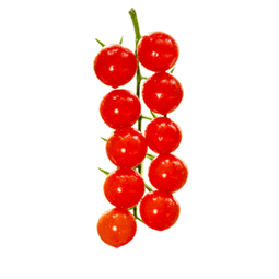 京鲜生 串收樱桃番茄净重2斤 新鲜小番茄西红柿 源头直发