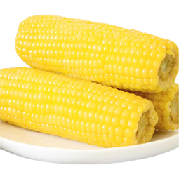 京鲜生东北黄玉米棒200g×8棒25年新玉米 真空黏玉米 多种包装 源头直发