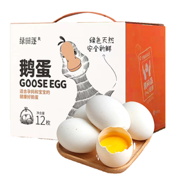 绿田逐 鹅蛋新鲜散养土鹅蛋生鲜12枚 2.7斤礼盒装 源头直发