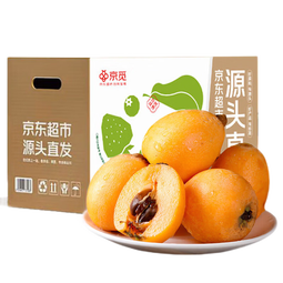 京觅四川攀枝花米易枇杷 2斤装净重单果30g+新鲜水果源头直发包邮