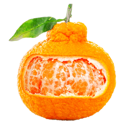 生活＆好管家四川不知火丑橘新鲜水果桔橘子丑柑丑八怪柑橘 4.5-5斤【超划算】净重4.5斤 果径80-85mm【大果】