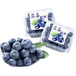 正秘书云南蓝莓 新鲜应季时令水果整箱 3斤装单果12-15mm 净重2.4斤100g*12盒