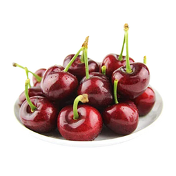 鲁禧海岸山东大樱桃 国产车厘子4J级多规格大樱桃 应季水果 新鲜时令生鲜 4斤(净重) 带箱5斤-【头茬露天樱桃】 手工精选果22-26mm
