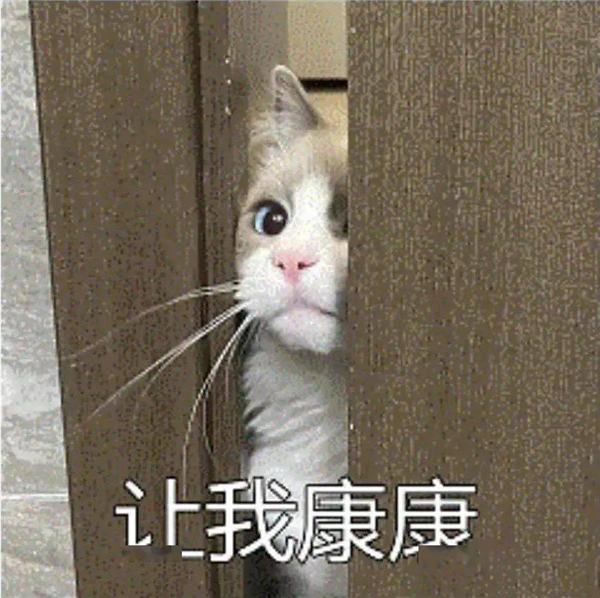 带头给智驾兜底 比亚迪这次真得仰望了