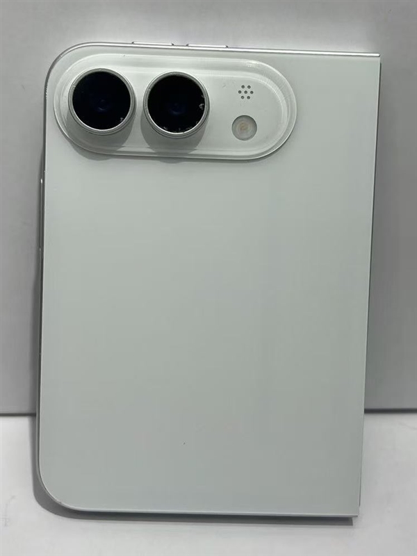 苹果最贵手机！iPhone Fold折叠屏机模细节公布：只有白色
