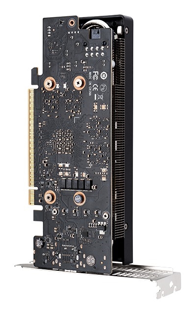 3399元！铭瑄RTX 5060 LP半高显卡上市：双槽三风扇+10Gbps接口
