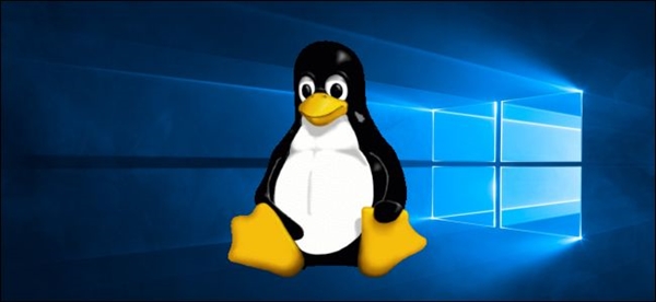 硬件顶配却跑不满！Linux新版本根治高端固态性能浪费问题