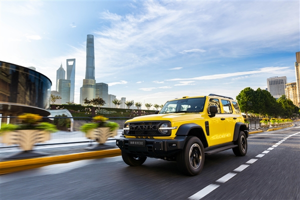 L113加长颜值大增 全新一代坦克300新能源预售：25.98万起