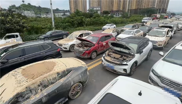 新能源车电池泡水 车主申请全损遭拒!法院判保险全赔