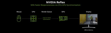 NVIDIA Reflex不再是N卡专属?Linux玩家这次连A卡也能开了