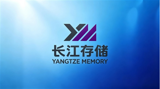 反击成功！长江存储德国专利战获胜：美光被禁售