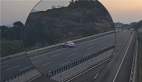 高速上倒车、逆行3公里 司机甩锅导航:新手机导航不清 结果一本驾驶证不够扣