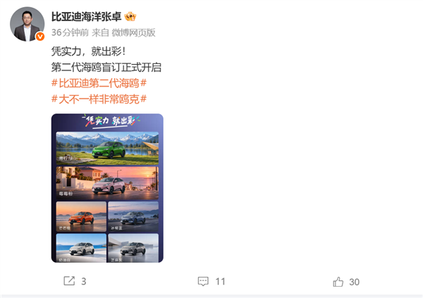 轴距暴涨!比亚迪第二代海鸥开启盲订:年内上市