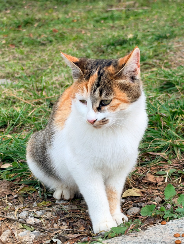 17用户没必要换!iPhone 18 Pro Max全面体验