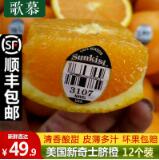 美国新奇士夏橙 10个约1.9kg